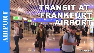 TRANSIT WALK AT FRANKFURT Airport FRA Terminal 1  Connection Flight Transfer Arriving amp Departing [upl. by Lemcke]