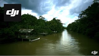 DJIThe life of Amazon Rain Forest [upl. by Drislane25]