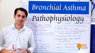 Bronchial Asthma Part 1 Pathophysiology of Asthma [upl. by Sugna903]