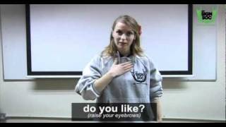 Basic Phrases in Irish Sign Language 01 [upl. by Odanref]