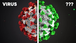Der Unterschied zwischen VIREN und BAKTERIEN [upl. by Rumilly]
