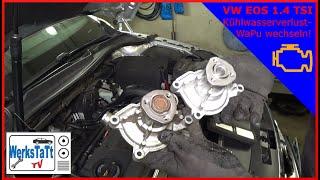 ►VW EOS◄ Wasserpumpe wechseln Replace Coolant Pump ◢WERKSTATTTV◣ [upl. by Dnomed]